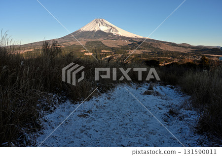 Mount Fuji in the morning sun seen from the snowy trail leading up to Mount Echizen in the Ashitaka mountain range Mount Fuji in the morning sun seen from the snowy trail leading up to Mount Echizen in the Ashitaka mountain range 131590011