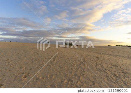 Beautiful landscape of Big Drift Sand Dune in Wilsons Promontory, Australia. Beautiful landscape of Big Drift Sand Dune in Wilsons Promontory, Australia. 131590091