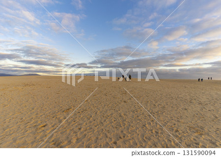 Beautiful landscape of Big Drift Sand Dune in Wilsons Promontory, Australia. 131590094