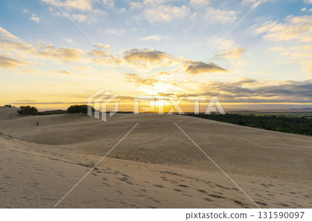 Beautiful landscape of Big Drift Sand Dune in Wilsons Promontory, Australia. 131590097