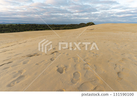 Beautiful landscape of Big Drift Sand Dune in Wilsons Promontory, Australia. 131590100