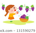 Illustration of a girl picking grapes 131590279