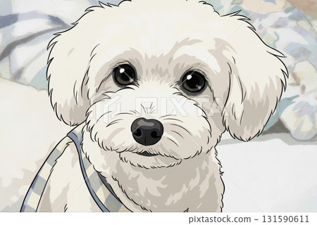 看著這隻白色的馬耳他犬 131590611