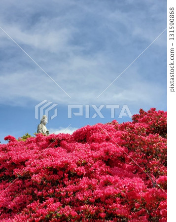 Bright red azaleas in full bloom, blue sky and Kannon statue - vertical 131590868