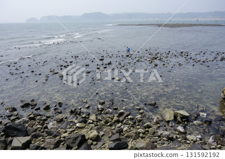 Shonan seascape in midsummer, with the misty sea stretching out in the distance Shonan seascape in midsummer, with the misty sea stretching out in the distance 131592192