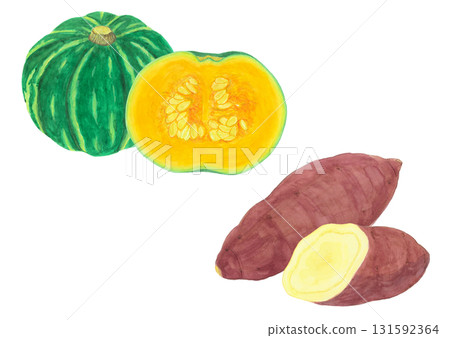 Pumpkin and sweet potato watercolor hand-drawn illustration material set 131592364