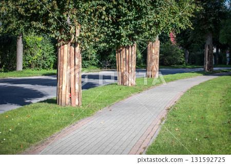 Preparation for road construction with trees protected by wooden planks 131592725