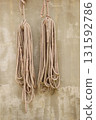 Bundles of various types of rope hang from the wall of a seaside warehouse. 131592786