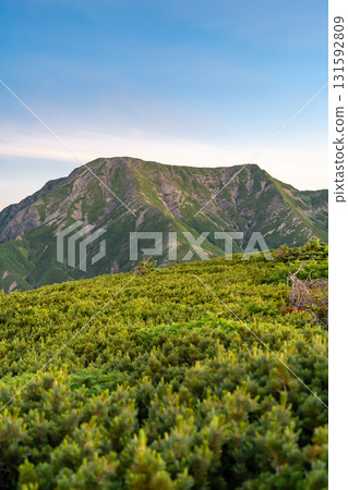 View of the Morgenrot mountain range from the summit of Minamidake in the Southern Alps. Hijiri-dake (Mae Hijiri-dake, Oku Hijiri-dake). Hiking Mt. Hijiri in the Southern Alps. View of the Morgenrot mountain range from the summit of Minamidake in the Southern Alps. Hijiri-dake (Mae Hijiri-dake, Oku Hijiri-dake). Hiking Mt. Hijiri in the Southern Alps. 131592809