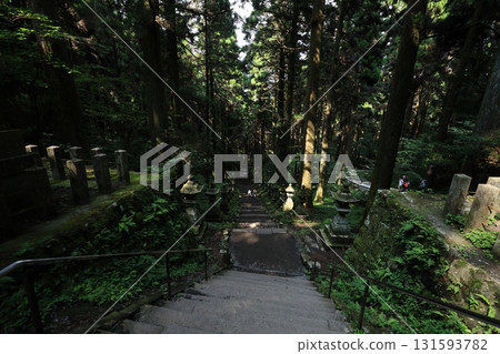 神社參道 神社參道 131593782