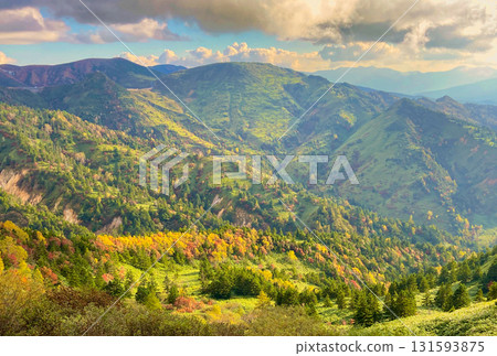 秋葉Atsuki通行證 131593875