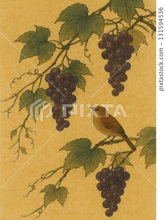 葡萄上的鳥 131594536