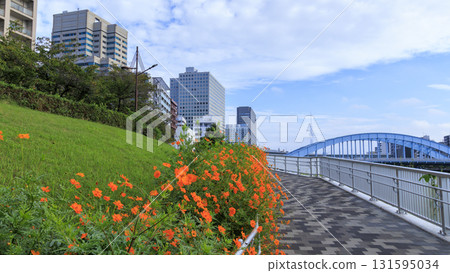 隅田川的氛圍 隅田川的氛圍 131595034