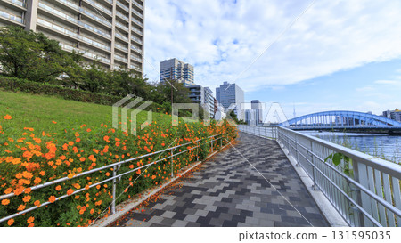 隅田川的氛圍 131595035
