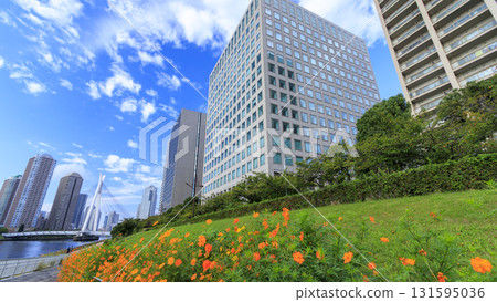 The atmosphere of the Sumida River The atmosphere of the Sumida River 131595036