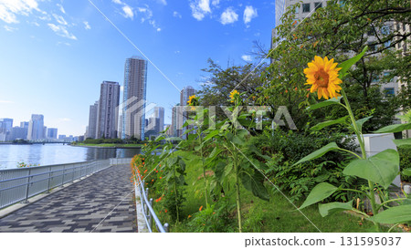 隅田川的氛圍 隅田川的氛圍 131595037