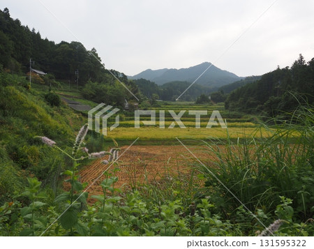 Nostalgic landscape 131595322