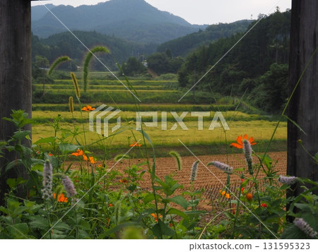 Nostalgic landscape 131595323
