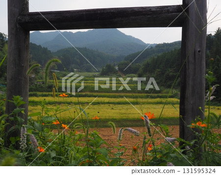Nostalgic landscape 131595324