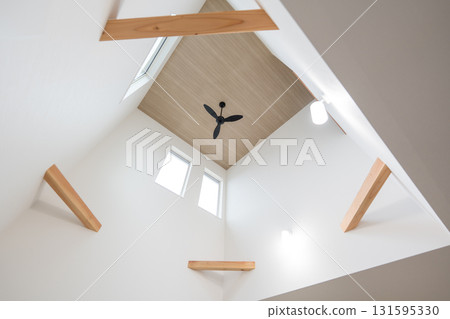 house with atrium 131595330