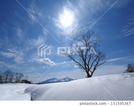 冬日的里磐梯和檜原湖。白雪皚皚的原野上,樹木蔥蘢,白雪皚皚的磐梯山,以及藍天白雲映襯下的白日,美不勝收。 冬日的里磐梯和檜原湖。白雪皚皚的原野上,樹木蔥蘢,白雪皚皚的磐梯山,以及藍天白雲映襯下的白日,美不勝收。 131595367