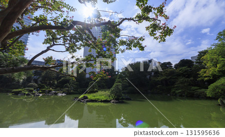 舊安田園的秋天 舊安田園的秋天 131595636