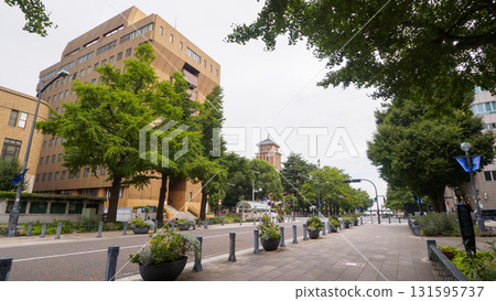 Autumn of Japan Avenue 131595737