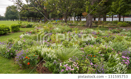山下公園的秋天 山下公園的秋天 131595753