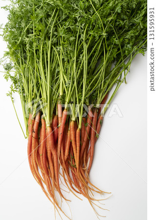 Freshly picked mini carrots 131595931