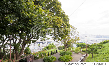 Scenery from hill park where harbor can be seen 131596031