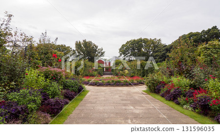 從可以看到港口的山公園的風景 131596035