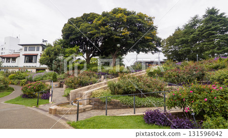 Scenery from hill park where harbor can be seen 131596042