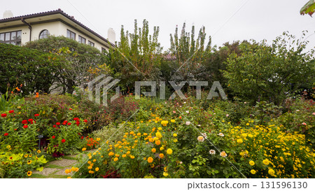 Scenery from hill park where harbor can be seen 131596130