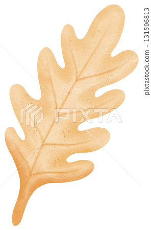 leaf autumn harvest in watercolor style for thanksgiving holiday celebration 131596813