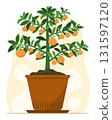 Ripe Oranges on Small Orange Tree in Pot for Fruit and Decorative Potted Plant Illustration Clip Art 131597120