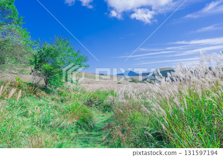 Scenery of Utsukushigahara Plateau: Blue sky and plateau 131597194
