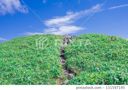 美原高原的風景:通往觀景台的道路 美原高原的風景:通往觀景台的道路 131597195