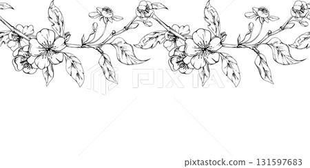 Cherry sakura apple white flower and bud with plant leaves on branches, hand drawn vector ink, wildflower botanical illustration. Seamless isolated banner, for scrapbooking, wedding, florist shop 131597683