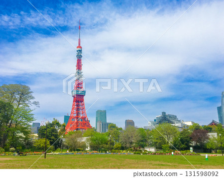 從芝公園看到的東京塔 從芝公園看到的東京塔 131598092