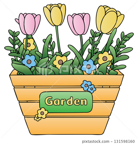 Colorful Tulip and Small Flowers in Wooden Planter on Transparent Background 131598160