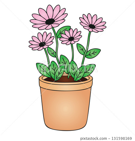 Pink Gerbera Daisy Flowers in Pot on Transparent Background Pink Gerbera Daisy Flowers in Pot on Transparent Background 131598169