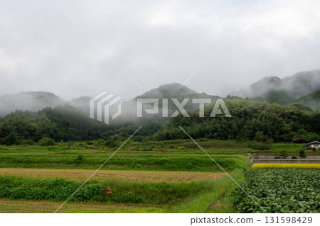 A beautiful rural landscape after the rain in Tottori Prefecture, Japan 131598429