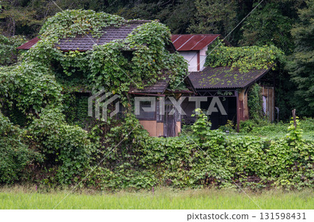 A beautiful rural landscape after the rain in Tottori Prefecture, Japan 131598431