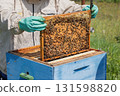 Beekeeper wearing a protective suit tending to beehives ensuring the well-being of the bees. Honey bees flying into wooden beehives. 131598820