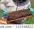 Beekeeper wearing a protective suit tending to beehives ensuring the well-being of the bees. Honey bees flying into wooden beehives. 131598822