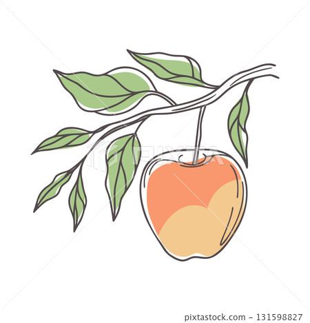 Apple on a branch. Hand drawn botanical illustration. Sketch. 131598827