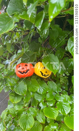 Jack-o'-lantern and leaves, Halloween pumpkin, Jack-o'-lantern in greenery 131598910