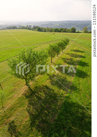 Fruit trees in beautiful orchard, traditional organic farming, healthy lifestyle concept, green grass, White Carpathians, Czech and Slovak republic border, sunny summer day, clear blue sky Fruit trees in beautiful orchard, traditional organic farming, healthy lifestyle concept, green grass, White Carpathians, Czech and Slovak republic border, sunny summer day, clear blue sky 131599124