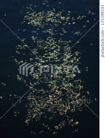 Shining water surface pattern 131599191