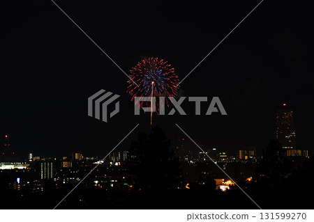 濱松市容和船越町煙火大會（靜岡縣） 131599270